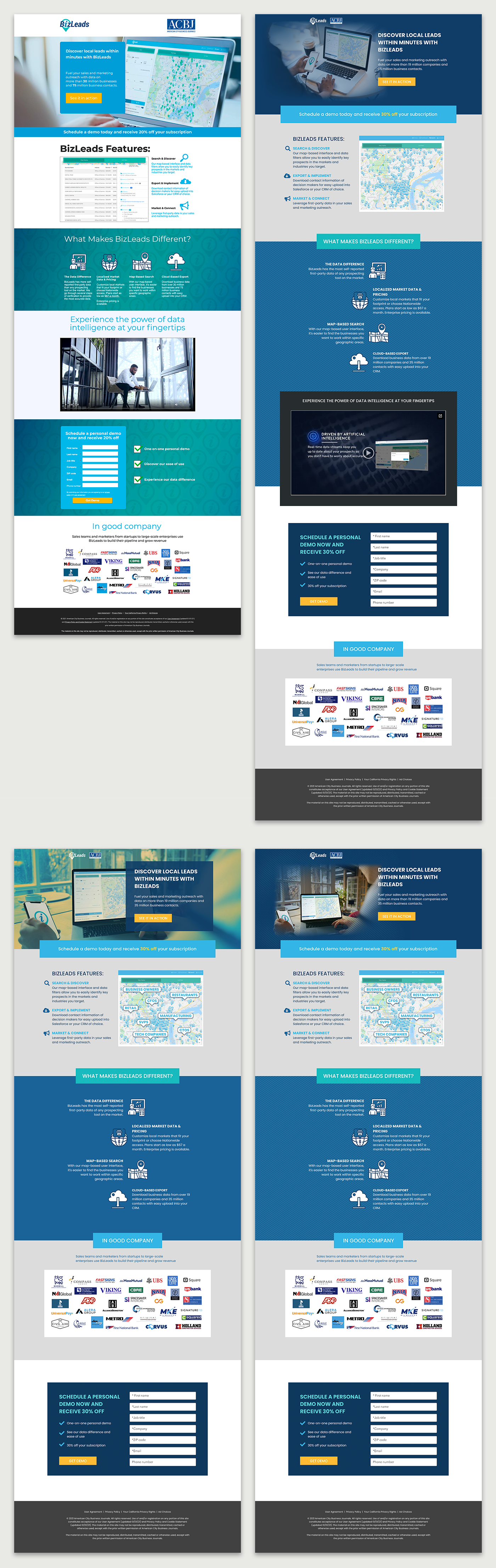 BizLeads Website/Landing Page Explorations